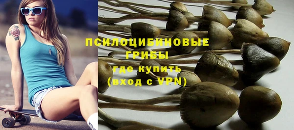 мяу мяу кристалл Няндома