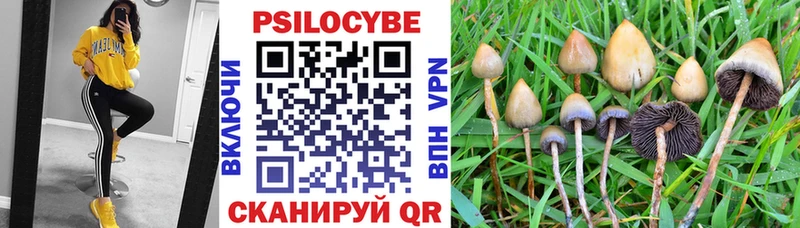 блэк спрут как войти  наркотики  Пенза  Галлюциногенные грибы Cubensis 